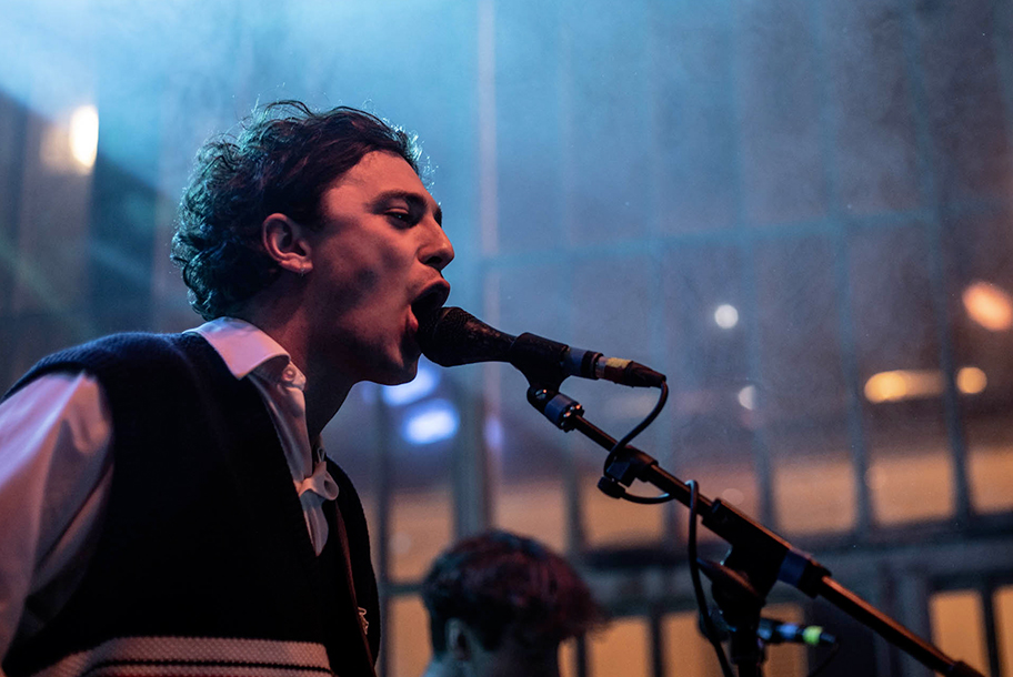 the wombats